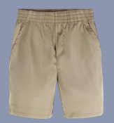 Pull On Performance Shorts